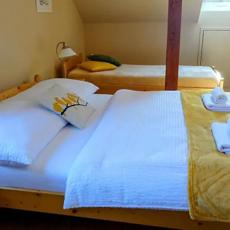 Apartament Nesyt