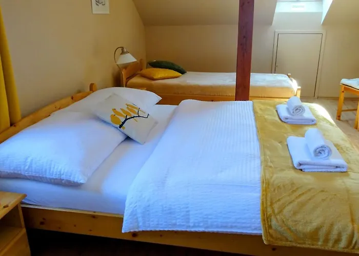 Appartement Nesyt